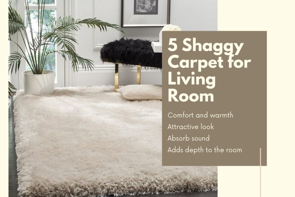 5 Shaggy Carpet for Living Room